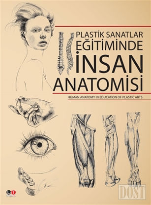 Plastik Sanatlar Egitiminde İnsan Anatomisi
